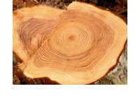 �l�̂ɖ��Q�Ŋ����ׂ̏������ޗ��̊��p