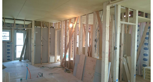 �����H����̗l�q