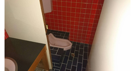 �����H����̗l�q