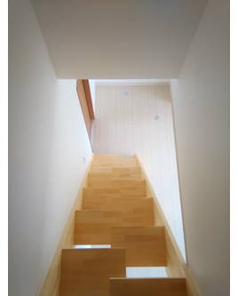 �V�z��������