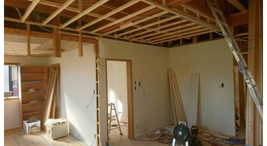 �����H����̗l�q