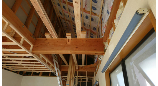 �����H����̗l�q