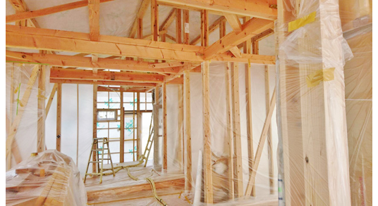 �����H����̗l�q