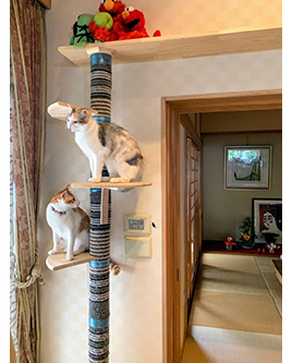 �V�z��������