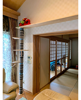 �V�z��������