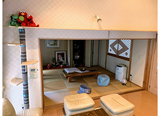 �����H����̗l�q