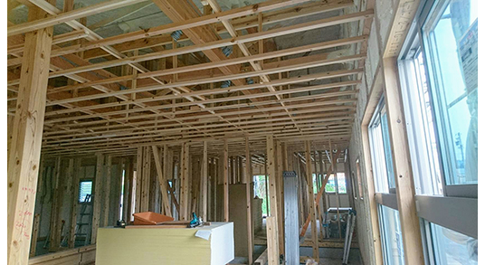 �����H����̗l�q