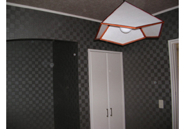 ����s�{�H��