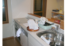 �����H����̗l�q