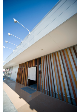 �����H����̗l�q