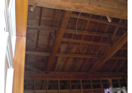 �����H���r���̗l�q