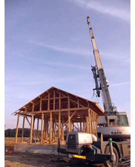 �V�z�H���̗l�q