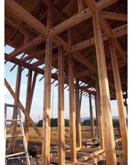 �V�z�H���̗l�q