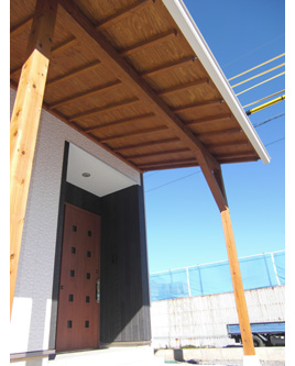 �V�z��������