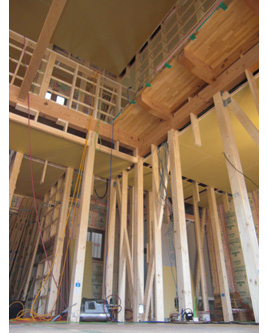 �V�z�H���̗l�q