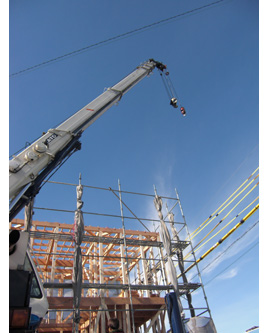 �V�z�H���̗l�q