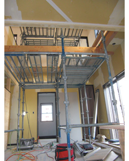 �V�z�H���̗l�q