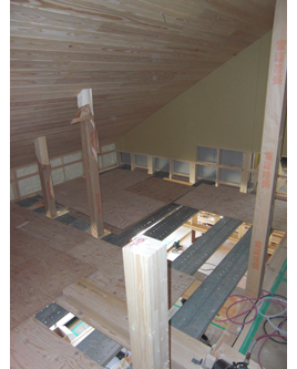 �V�z�H���̗l�q