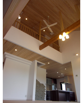 �V�z��������