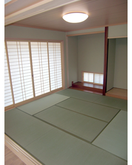 �V�z��������