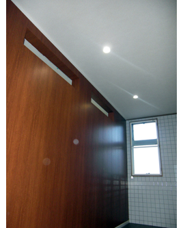 �H����̗l�q