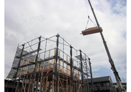 �V�z�H���̗l�q