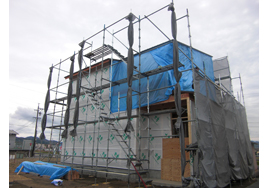 �V�z�H���̗l�q