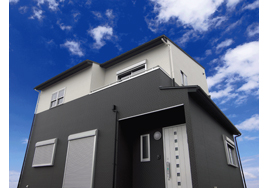 �V�z��������