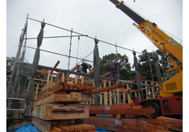 �V�z�H���̗l�q