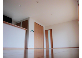 �V�z��������