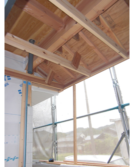 �H���r���̗l�q