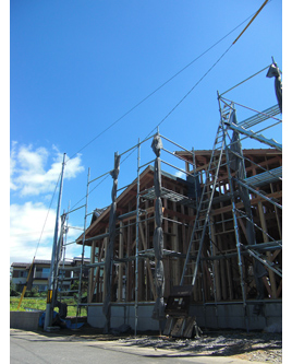 �H���r���̗l�q