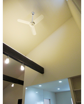 �V�z��������