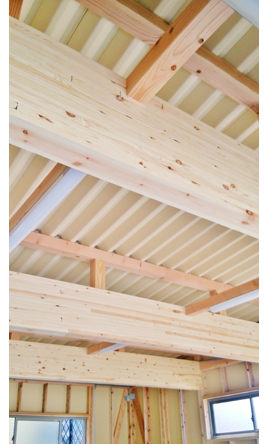 �V�z��������